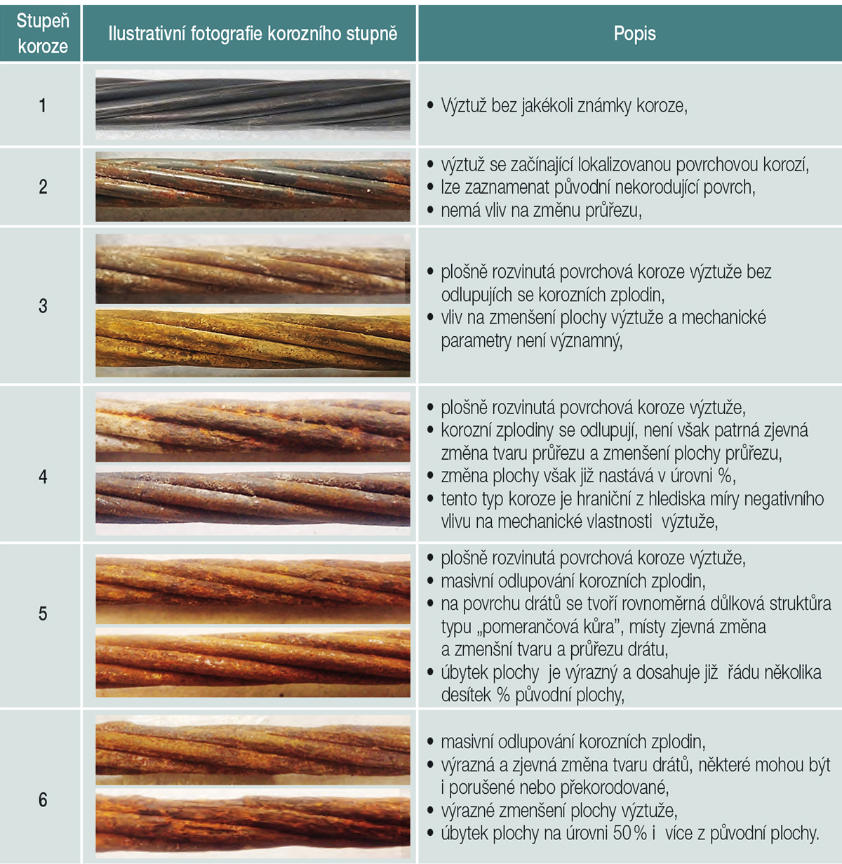 Obr. 1 Hodnoticí škála dle korozního napadení povrchu lana podle [2]